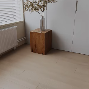 Side 3d model