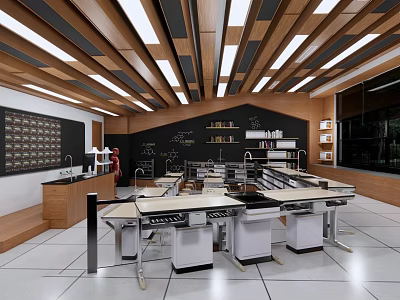 Spacious Well Lit School Science Lab With Modern Workstations And Storage Shelves 3d model