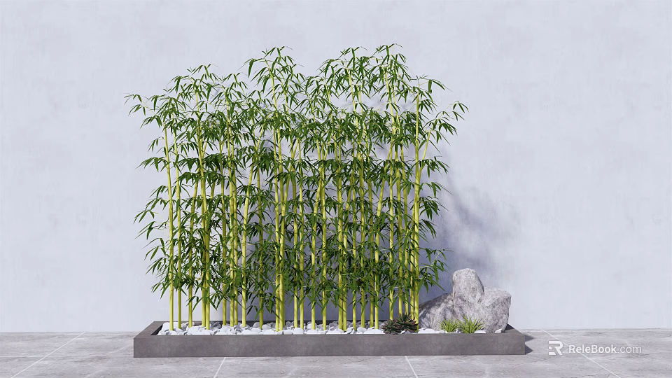 Green Bamboo Plants Grown in Gray Rectangular Planter with Light Colored Wall Background and Stone 3d model
