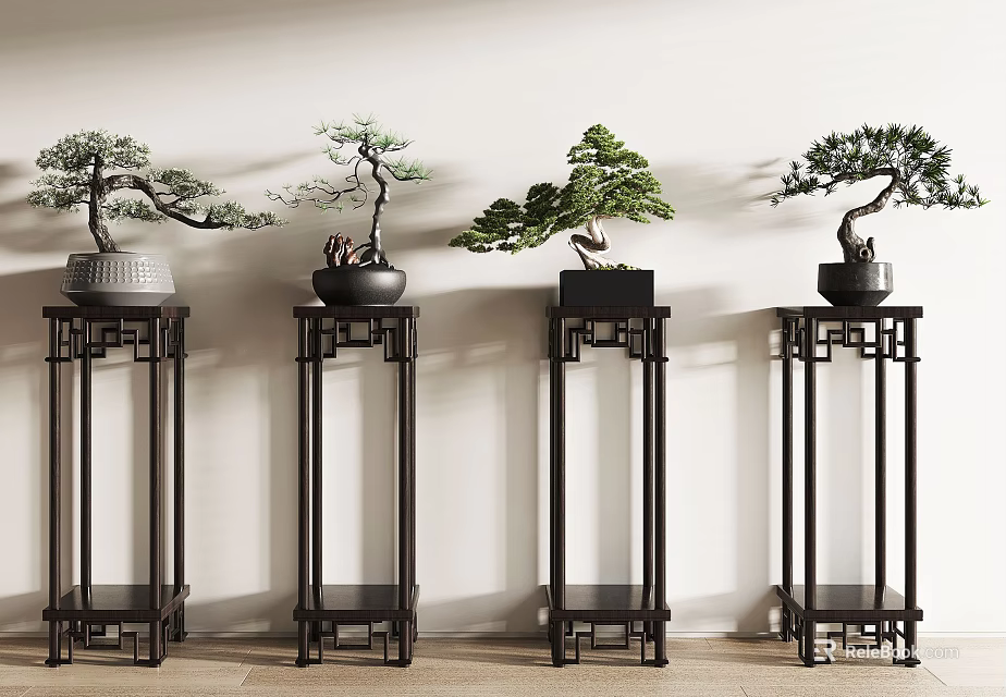 Potted Bonsai Trees Arranged on Chinese style Wooden Stands with Light Wall Background 3d model 
