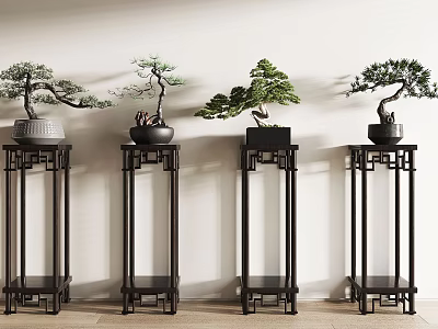 Potted Bonsai Trees Arranged on Chinese style Wooden Stands with Light Wall Background 3d model
