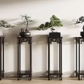 Potted Bonsai Trees Arranged on Chinese style Wooden Stands with Light Wall Background