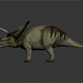 Detailed Triceratops Dinosaur 3D Model With Large Frill Sharp Horns And Realistic Skin