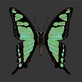 Modern Butterfly Colored Butterfly Tabby Butterfly Leaf Butterfly 3d model