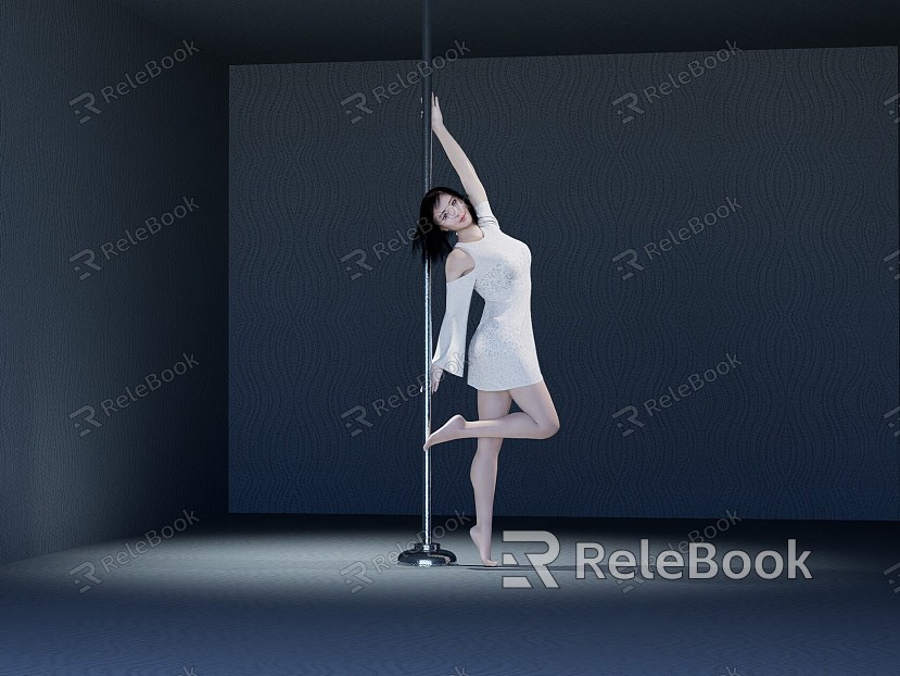 The beauty of the pole dance model