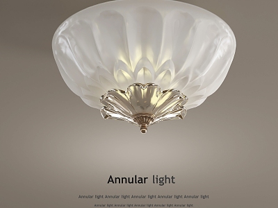 French ceiling lamp model