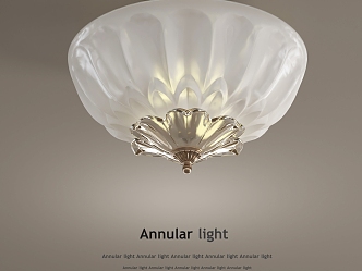 French ceiling lamp 3d model