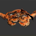 Vibrant Orange And Pink Crab With White Spots And Orange Claws On Dark Background