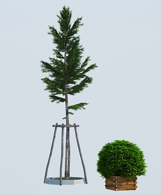 Modern Tree Shrub 3d model