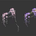 Hanging Pink And Purple Flowers With Long Trailing Blooms On Dark Background