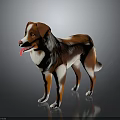 Brown and White Dog Standing with Tongue Out on Gray Background and Reflective Floor