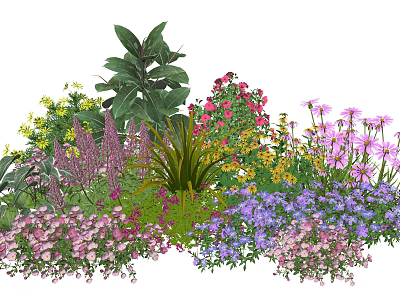 Colorful Garden Plant Combination With Pink Purple Yellow Flowers And Green Foliage 3d model