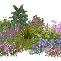 Colorful Garden Plant Combination With Pink Purple Yellow Flowers And Green Foliage
