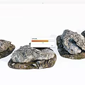 Natural Stone Rocks With Wooden Bases For Outdoor Garden Decoration
