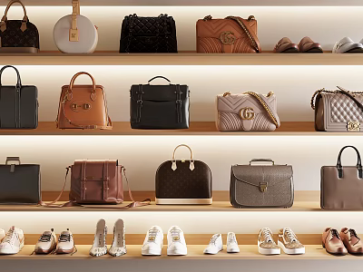 Stylish Designer Bags In Various Styles On Wooden Shelves With Shoes 3d model