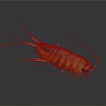 Modern sea cockroach cockroach skin shrimp beetle 3d model