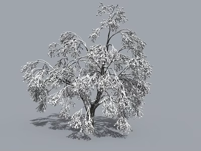 Snow Covered Arbor With Frosted Branches And Natural Winter Silhouette 3d model