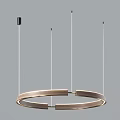 Modern Contemporary Chandelier with Circular Ring and Linear Metal Bar Design Elements 3d model