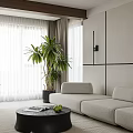 Modern Minimalist Living Dining Room Interior With Beige Sofa Round Coffee Table Rug And Plant