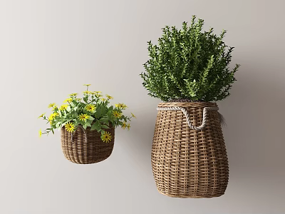 Bonsai Potted Plants in Woven Basket Planters with Yellow Flowers and Lush Green Leaves 3d model