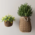 Bonsai Potted Plants in Woven Basket Planters with Yellow Flowers and Lush Green Leaves