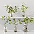 Clear Glass Vases With Green Foliage And Eucalyptus Leaves On Shelf