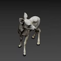 Young Fawn Standing On Dark Background With Light Gray Fur And Ears