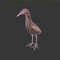 Realistic Brown Feathered Heron With Long Orange Beak And Yellow Legs Standing On Dark Reflective Surface