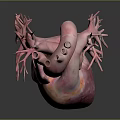 Detailed 3D Heart Anatomical Model Medical Device For Educational Visualization