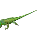 lizard cold-blooded reptile chameleon 3d model