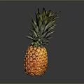 Fresh Ripe Pineapple With Vibrant Orange Skin Green Leaves On Dark Surface
