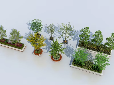 Various Arbor Trees in Planters and Flower Boxes for Landscape Design 3d model