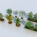 Various Arbor Trees in Planters and Flower Boxes for Landscape Design 3d model