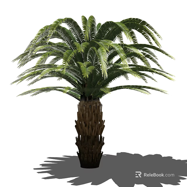Tall Tropical Tree with Lush Green Fronds and Textured Brown Trunk 3d model 