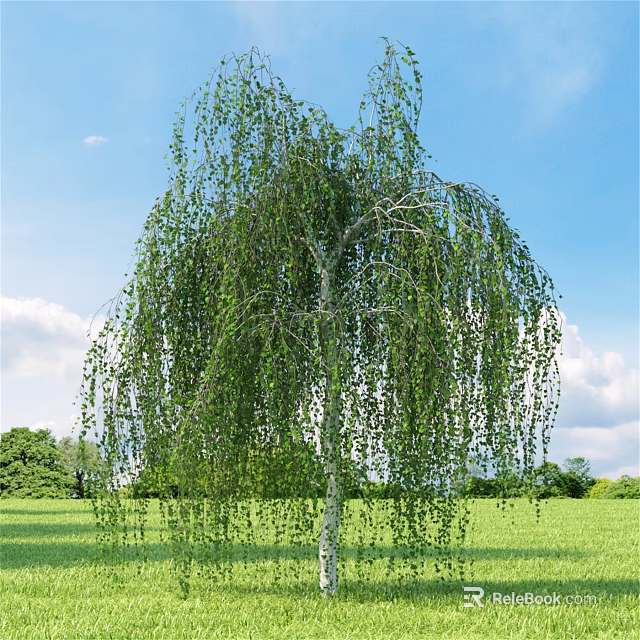 Weeping Willow Tree with White Trunk Drooping Green Leaves in Lush Grass Against Blue Sky 3d model 