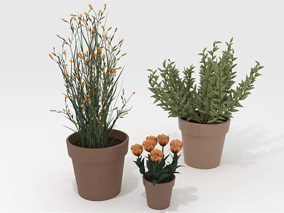 Different Size Potted Plants With Orange Flowers And Green Leaves For Indoor Decor 3d model