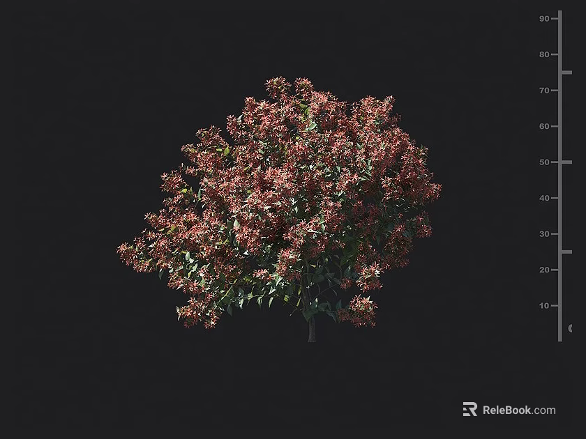 Vibrant Ornamental Red Green Leaf Shrub For Lush Garden Landscape Design 3d model 
