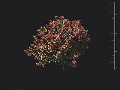 Vibrant Ornamental Red Green Leaf Shrub For Lush Garden Landscape Design 3d model