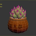 Succulent Plant with Green Leaves and Pink Tips in Orange Pot with Cherry Blossom Pattern