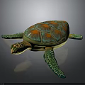 Vibrant Sea Turtle With Colorful Shell And Orange Green Patterns On Gray Background