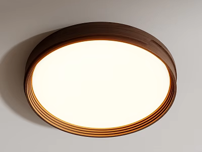 Round Contemporary Ceiling Light With White Lampshade And Brown Frame Design 3d model
