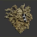 Yellow Coral Formation With Checkerboard Scale In Marine Aquatic Animal Habitat