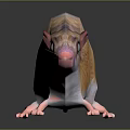 Orange and White Rat With Pink Nose Ears Long Tail Standing On Black Reflective Surface