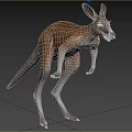 Red Kangaroo Red Kangaroo Red Kangaroo Big Red Kangaroo Animal Creatures 3d model