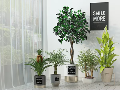 Decorative Indoor Potted Plants With Pineapple Green Foliage And Metallic White Pots Near Window 3d model