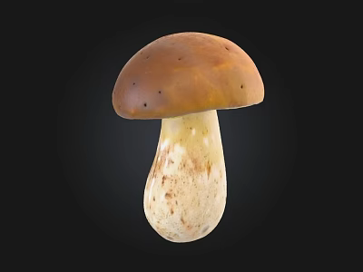 Fresh Natural Mushroom With Brown Cap And White Spotted Stem Isolated On Black Background 3d model