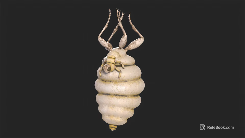 Unique White Spiral Structure With Top Leg Like Appendages And Textured Surface 3d model 