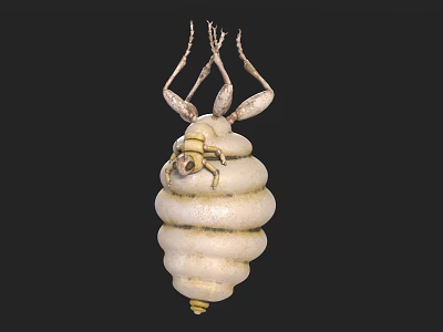 Unique White Spiral Structure With Top Leg Like Appendages And Textured Surface 3d model