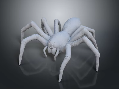 White Spider 3D Model With Detailed Legs Rendered On Dark Background 3d model