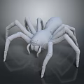 White Spider 3D Model With Detailed Legs Rendered On Dark Background 3d model